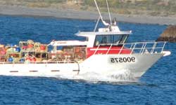 Incredible India; what more surprises?