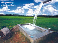 The greenery might not last..