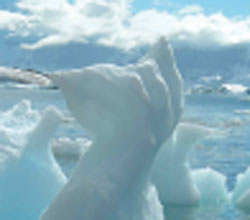 Melting  Arctic . . .