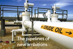 Oil
